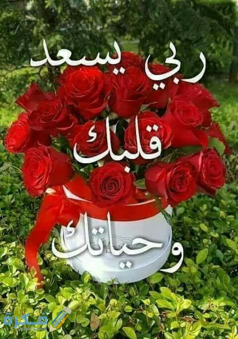 2845930572925024a3eb4a812ef7ff93