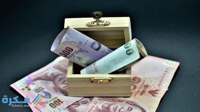 الاستثمار في الأوراق المالية 