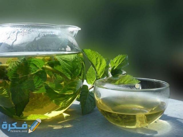 مشروب النعناع 
