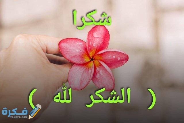 الرد على الشكر والتقدير 45701117 2223696004538574 706997448517615616 n