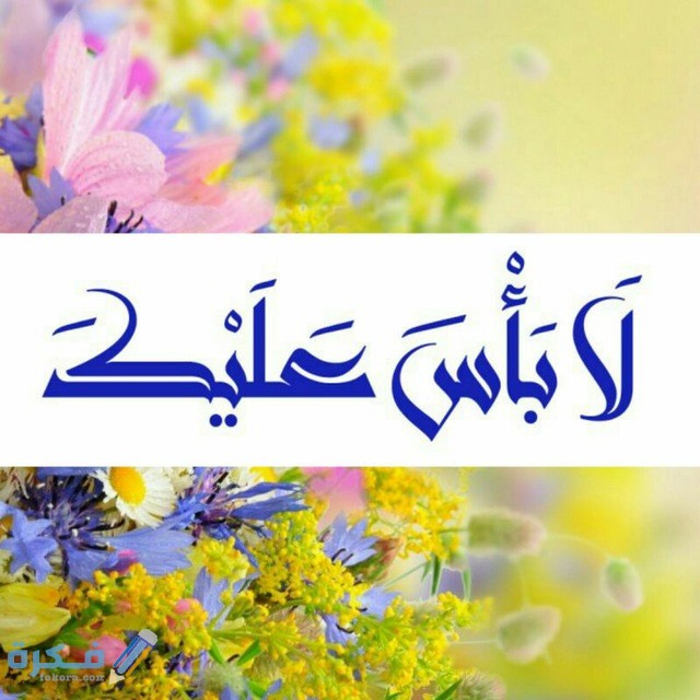 47631b6ad337e09c2492af8f91b8cea8