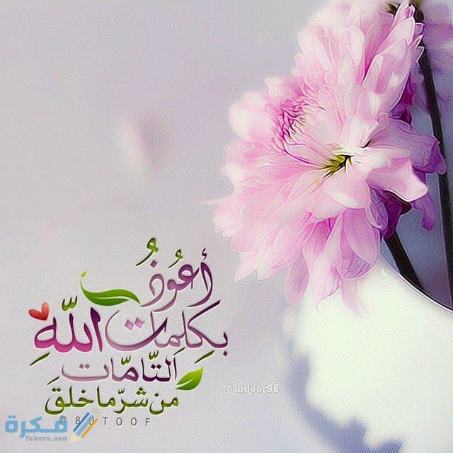 بوستات واتس