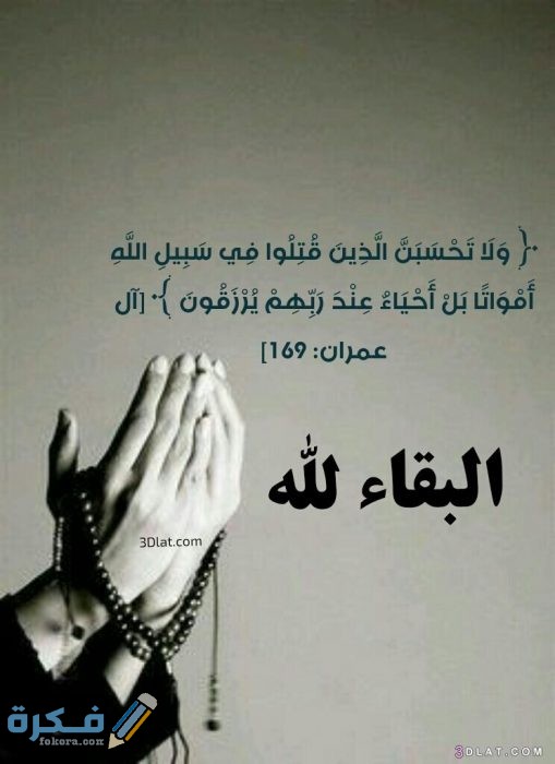 صور البقاء لله صور البقاء لله