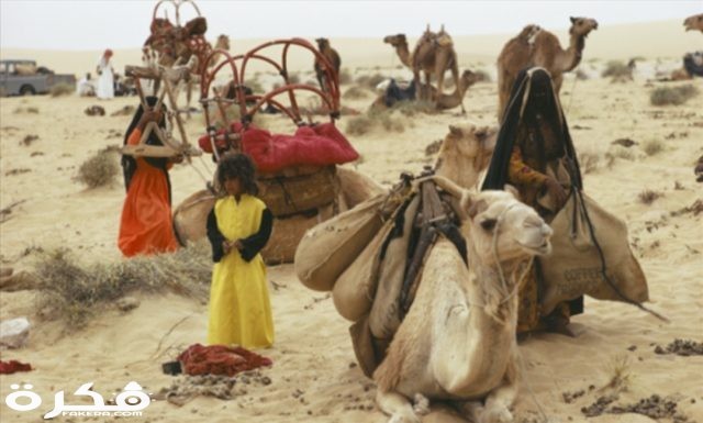 IMG ٢٠٢٠٠٣١٣ ٠٦٥٥٣٦