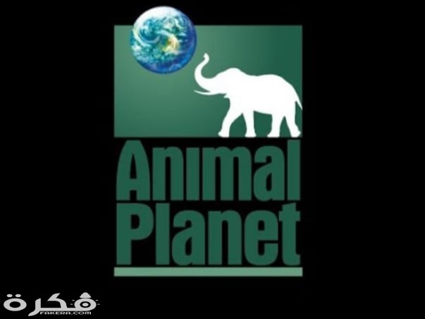 IMG ٢٠٢٠٠٣١٤ ٢١٤٢٥١