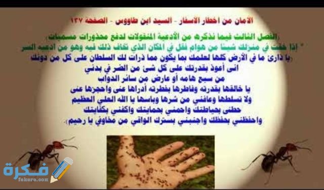 دعاء لطرد الصراصير من المنزل