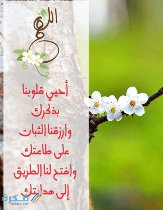 اللهم أحي قلوبنا بذكرك وارزقنا الثبات على طاعتك اللهم أحي قلوبنا بذكرك وارزقنا الثبات على طاعتك