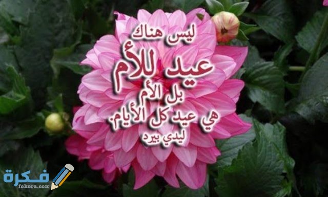 كلمات تهنئة عيد الام  كلمات تهنئة عيد الام