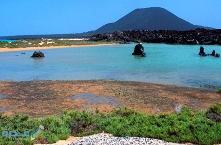 IMG ٢٠٢١٠٣٠٨ ٢٣٤٩١٥