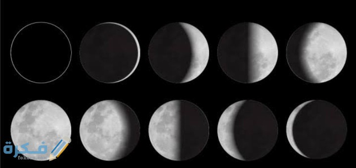 IMG ٢٠٢١٠٣٠٨ ٢٣٥٠٢١