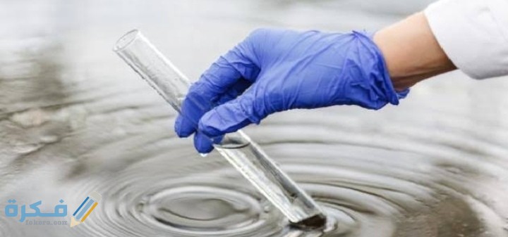 IMG ٢٠٢١٠٣١٤ ٠٣٠٦١٩