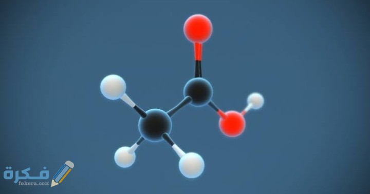 IMG ٢٠٢١٠٣١٤ ١٨٠٥٤٤