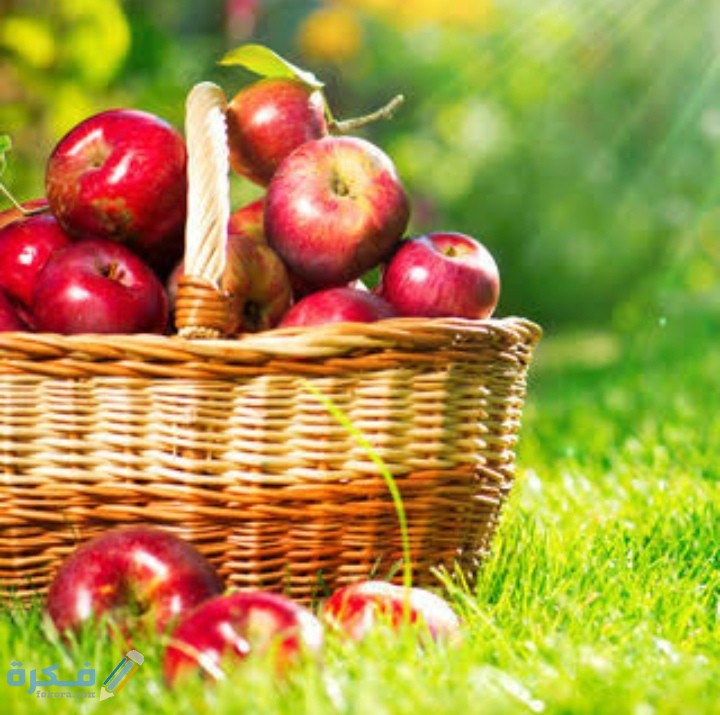 IMG ٢٠٢١٠٣١٦ ٠٤٣١٠٧