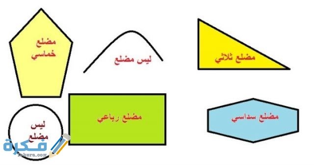 طلب المعلم إلى عمار تصنيف وعد المضلعات التي يراها في الشكل فأي العبارات التالية صحيحة اختيار جميع الخيارات الصحيحة