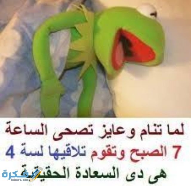 بوستات مضحكة