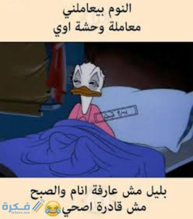 IMG ٢٠٢١٠٣٢١ ٠٢٣٦١١