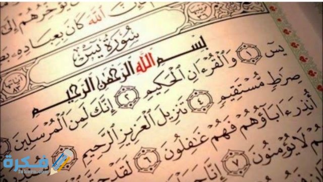 فضل سورة يوسف لإنجاب الذكور فضل سورة يوسف لإنجاب الذكور