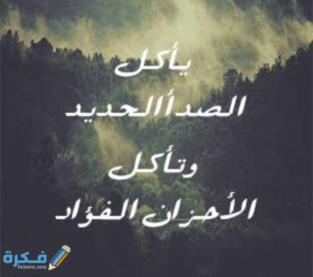 بوستات انستقرام للبنات