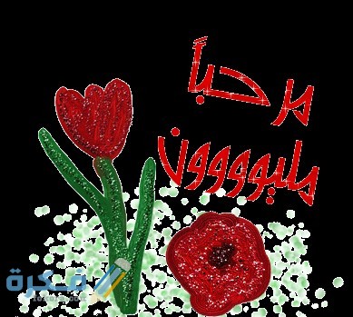 الرد على الله يحييك analoza.com 1335289819 795