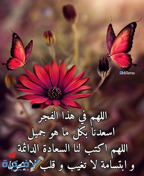 هَلْ يستجاب الدعاء في صلاة الفجر