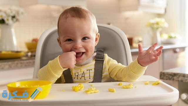 متى يبدا الطفل في اكل البيض baby cms