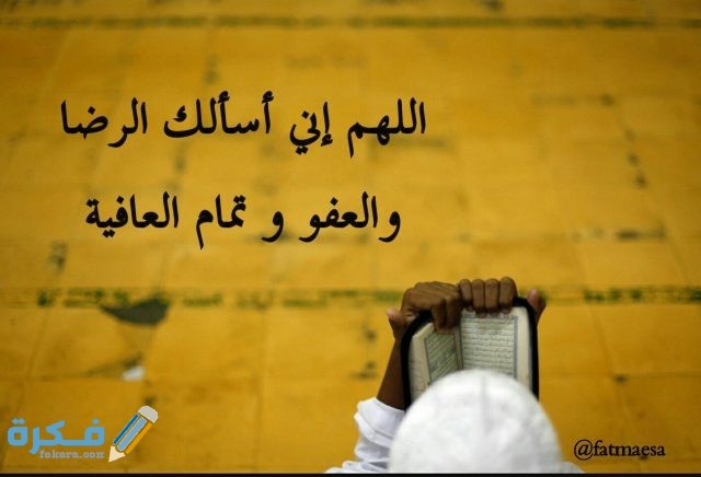 عبارات عن التسامح