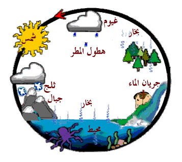 من أين نحصل على الماء؟