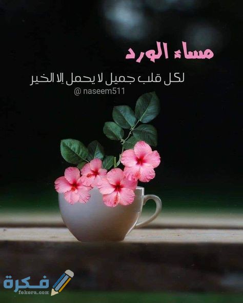 صور مساء الخير صور مساء الخير