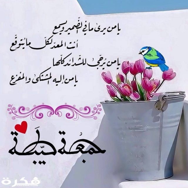 صور وكلمات عن يوم الجمعة ce50781dd34840036f469837e6cf1d84