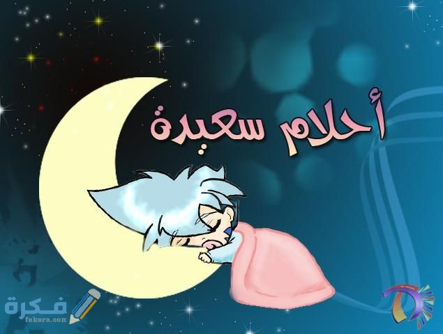 d6cd5ba4dddb186947c3c8705a85bf00