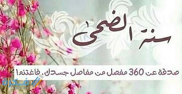 صلاة الضحى بعد الشروق بكام دقيقة وفضل صلاة الضحى