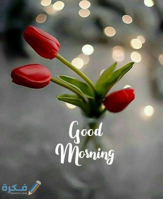 fc2ffde1d91dd664499edf368fb20166