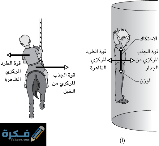 ما العلاقة بين التسارع وحركة اللعبة الأفعوانية