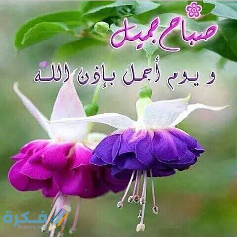 دعاء الصباح  دعاء الصباح