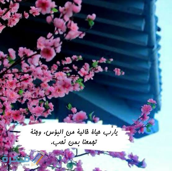 بوستات انستقرام للبنات