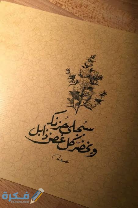 بوستات انستقرام للبنات