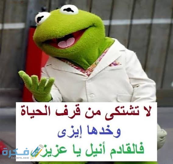 حالات واتس اب مضحكة