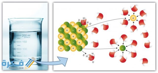 اشرح كيف تؤثر قوى التجاذب بين الجزيئات في الذوبان
