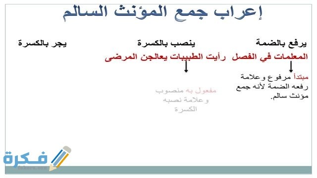 شرح درس جمع المؤنث السالم