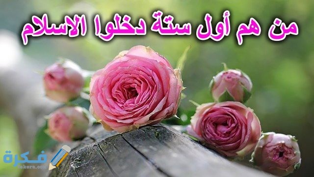 من هو اول من اسلم من الفتيان