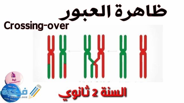 شرح ظاهرة العبور الوراثي