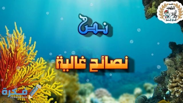 شرح درس نصائح غالية شرح درس نصائح غالية