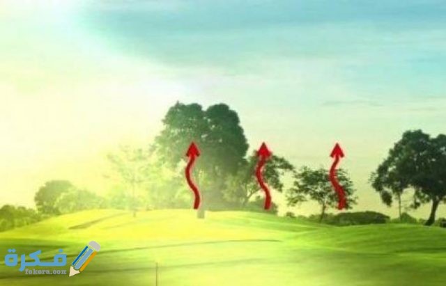 منطقة التقاء كتلتين هوائيتين