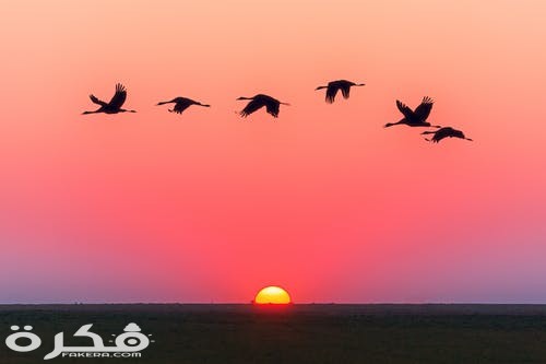 pexels photo 1126384