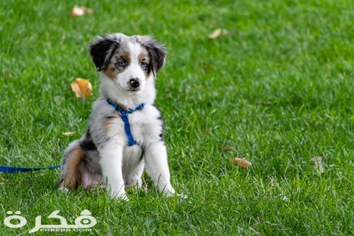 pexels photo 1322182