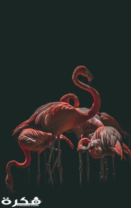 pexels photo 1327405