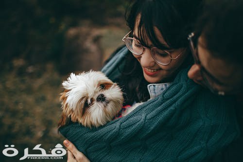 pexels photo 1378849