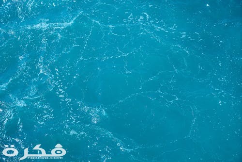 صور بحر