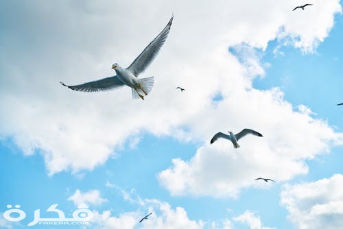 pexels photo 1435849