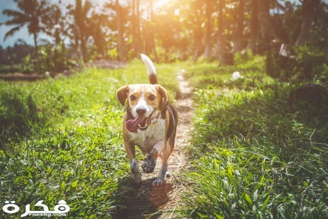 pexels photo 1485637